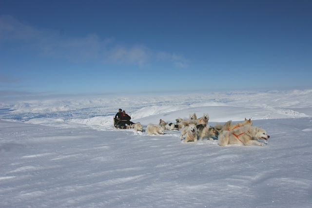 Voyage En traîneau à chiens avec les Inuit