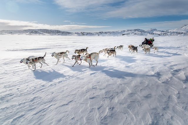 Voyage En traîneau à chiens avec les Inuit