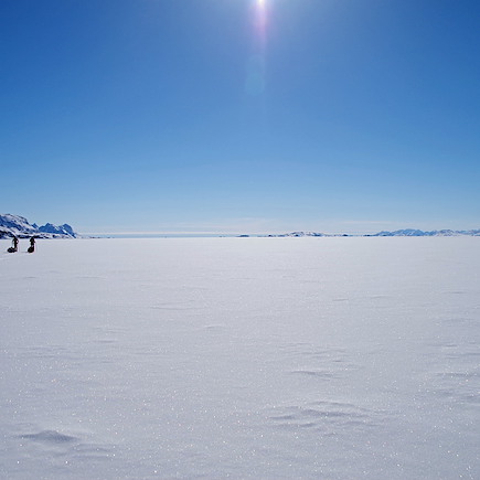 Ski de fond et ski nordique Groenland