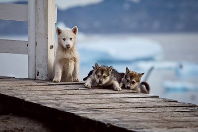 Près de Saqqaq - Groenland