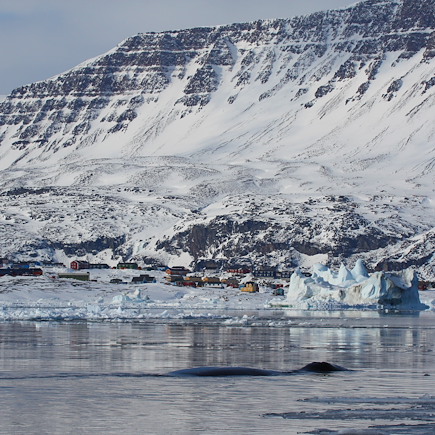Aurores boréales Groenland
