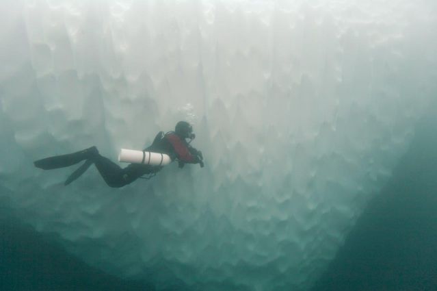 Voyage Plongée sous les glaces du fjord Sermilik