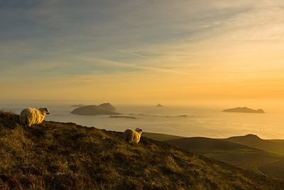 © Tourism Ireland - Dún Chaoin - Péninsule de Dingle - Kerry - Irlande Dún Chaoin - Péninsule de Dingle - Kerry - Irlande