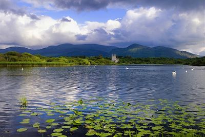 © Tourism Ireland Imagery - Ross Castle - Killarney - Comté de Kerry - Irlande Ross Castle - Killarney - Comté de Kerry - Irlande