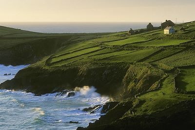 © Tomwachs / iStock - Péninsule de Dingle - Irlande Péninsule de Dingle - Irlande