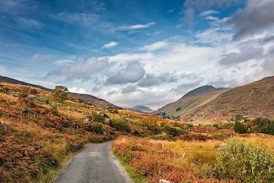 © Brian Morrison / Tourism Ireland - Kenmare Road - Comté de Kerry - Irlande Kenmare Road - Comté de Kerry - Irlande