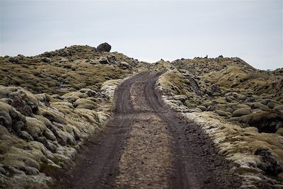 Route dans la région d'Eldhraun - Islande