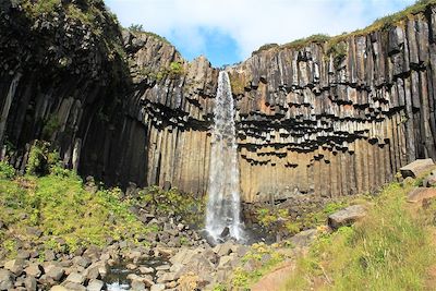 © Charly Coevoet - Svartifoss - Parc National de Skaftafell - Islande Svartifoss - Parc National de Skaftafell - Islande