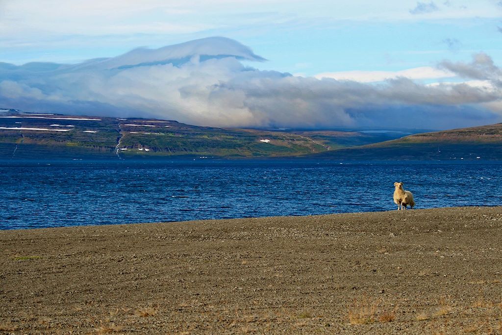 Voyage Le grand tour de l'île 2