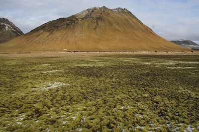 © Bertrand Jouanne - Landmannalaugar - Islande Landmannalaugar - Islande