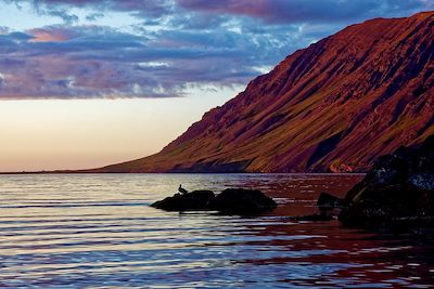 © Antonin Bergerat - Trollaskagi – Islande Trollaskagi – Islande