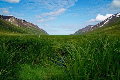 Randonnée Islande