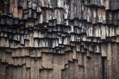Orgues basaltiques à Svartifoss - Islande