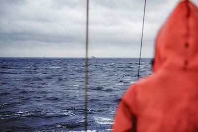 © piola666 / Getty Images - Navigation Navigation