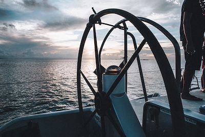 © Alex Walker / Getty Images - Navigation Navigation