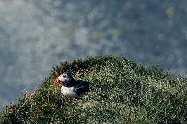 Photographie : Eclipse totale en Islande Voyage Eclipse totale en Islande