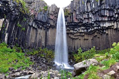 Svartifoss - Islande