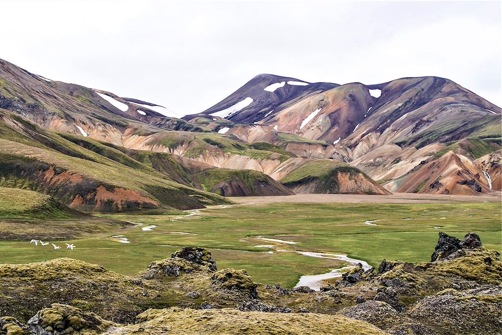 Image Trek Islande - Randonnée Islande