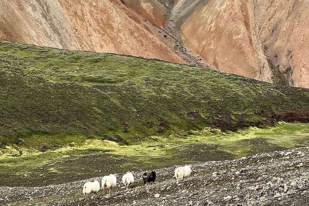 Image Trek volcan - Trek Islande - Randonnée Islande - Fjallabak - Hautes Terres