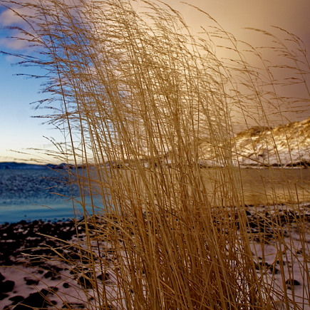 Photographie Islande