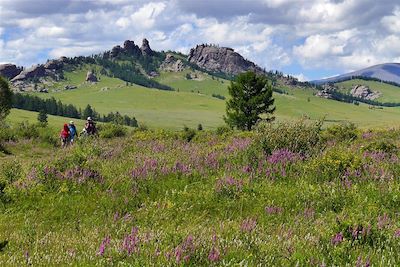 Parc national de Terelj - Mongolie