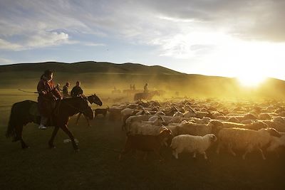 Randonnée Mongolie