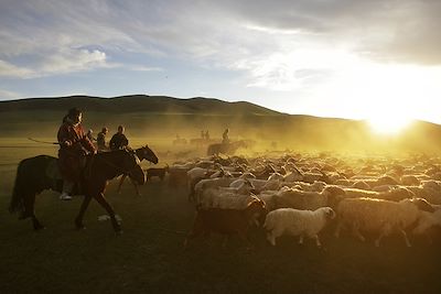 Voyage Mongolie