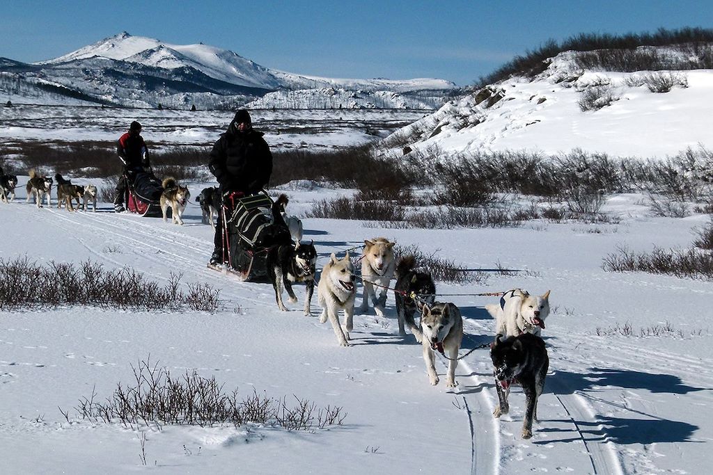 Voyage Aventure en traîneau au nord de la Mongolie