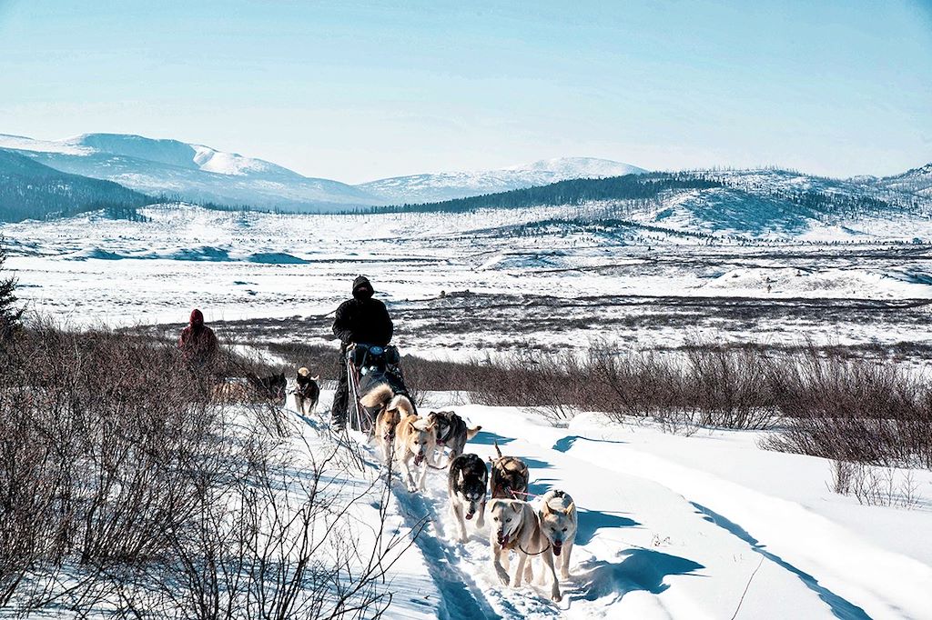Image Voyage Mongolie - Raid traîneau - Chiens de traîneau - Séjour en Yourte