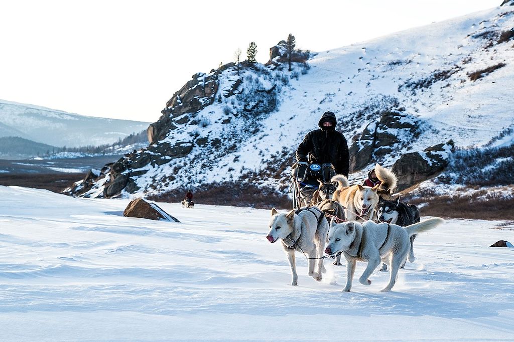 Image Voyage Mongolie - Raid traîneau - Chiens de traîneau - Séjour en Yourte