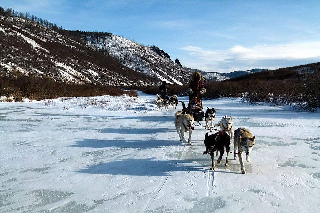 Image Voyage Mongolie - Raid traîneau - Chiens de traîneau - Séjour en Yourte