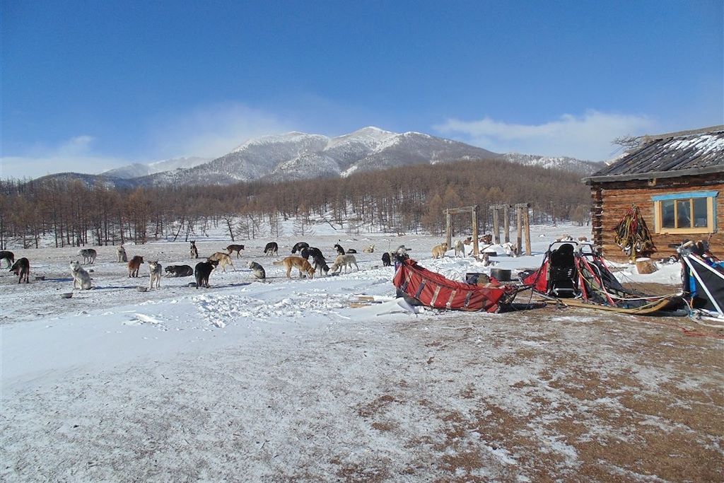 Voyage La grande aventure nordique de Khuvsgul 2