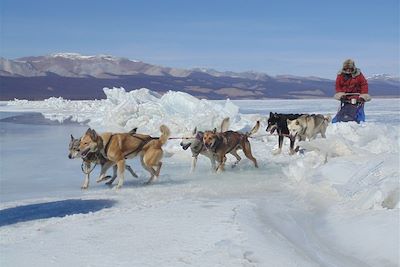 Traîneau à chiens sur le lac Khuvsgul gelé - Mongolie