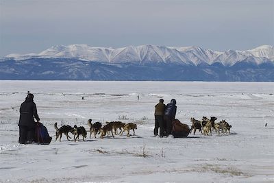 Voyage La grande aventure nordique de Khuvsgul 1