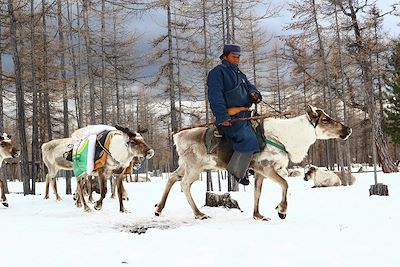 Les Tsaatan, un peuple d'éleveurs de rennes - Mongolie