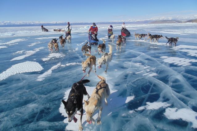 Traîneau à chiens sur le lac Khuvsgul gelé - Mongolie