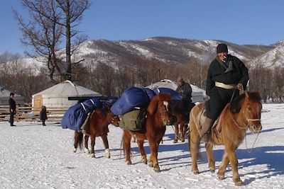 Voyage Traîneau à chiens en terre mongole 1