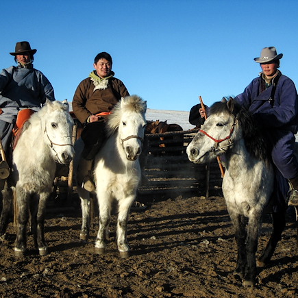 Découverte Mongolie