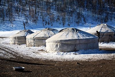 Hiver - Mongolie