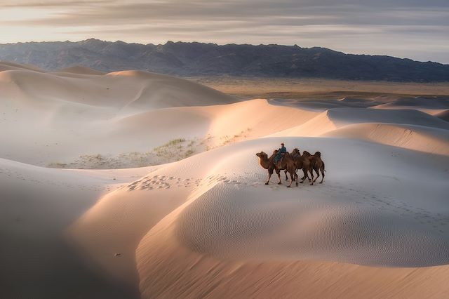 Voyage : Du désert de Gobi à la vallée de l'Orkhon Voyage Du désert de Gobi à la vallée de l'Orkhon