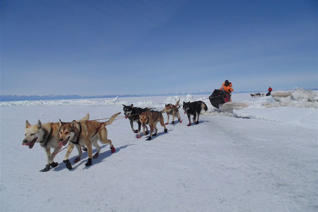 Image Voyage Mongolie - Chiens de traîneau - Raid Mongolie