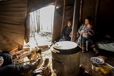 Les Tsaatan, un peuple d'éleveurs de rennes - Mongolie