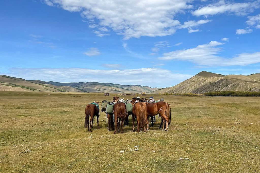 Image Trek Terelj - Randonée Monts Khentii - Nuits En Yourtes Nomades