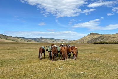 Parc national Gorkhi-Terelj - Mongolie