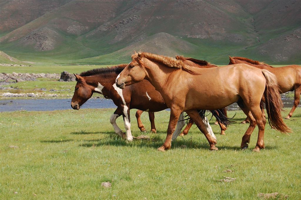 Image Découverte Désert De Gobi - Nuit En Yourte Naiman Nuur - Randonnée Orkhon