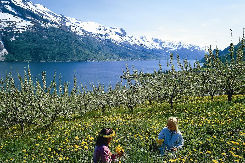 Le Fjord Hardanger - Norvège