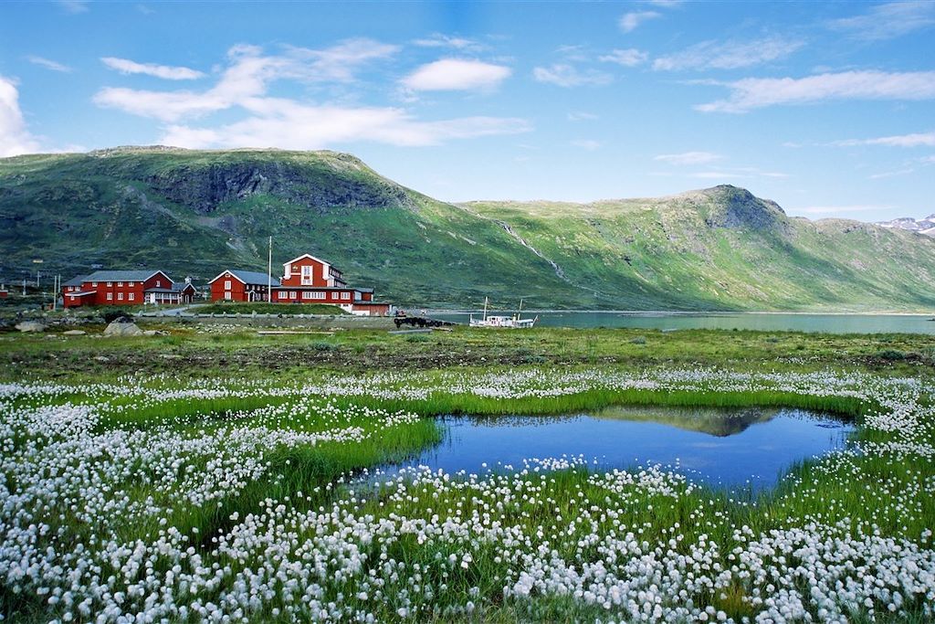 Randonnée Région des fjords