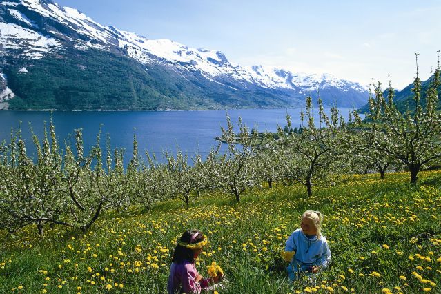 Voyage Balade dans les fjords de Norvège 3