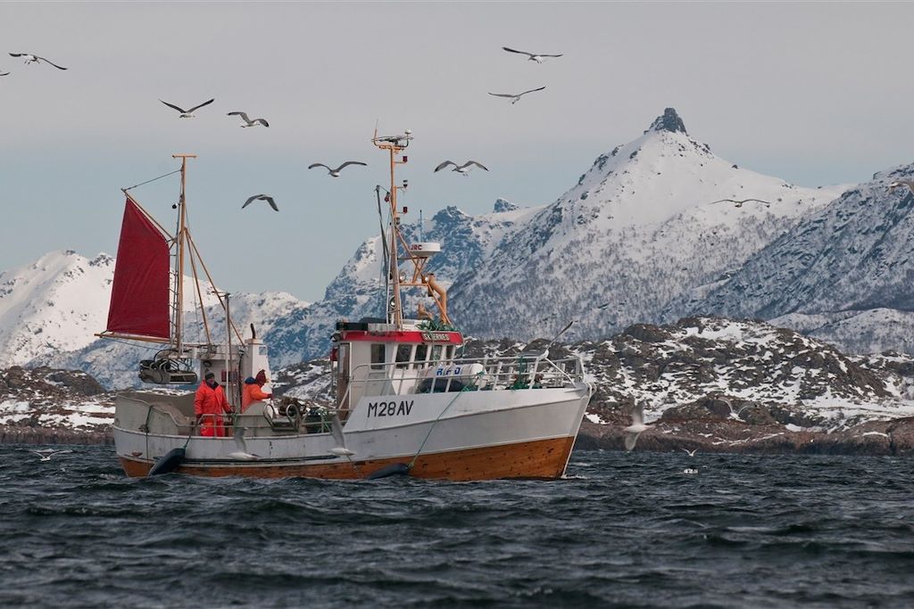 Voyage Observation des baleines et aurores boréales 2