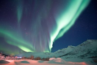 Voyage Neige Norvège